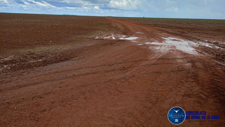 Imagem Fazenda à Venda, 2 m² em Zona Rural - Caxias Imagem Fazenda à Venda, 2 m² em Zona Rural - Caxias