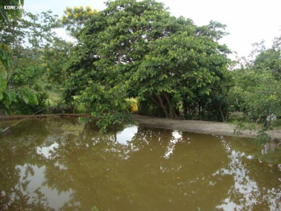 Imagem Chácara com 3 Quartos à Venda, 33.000 m² em Centro - Paraibuna Imagem Chácara com 3 Quartos à Venda, 33.000 m² em Centro - Paraibuna