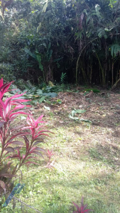 Imagem Terreno à Venda, 581 m² em Itamambuca - Ubatuba Imagem Terreno à Venda, 581 m² em Itamambuca - Ubatuba