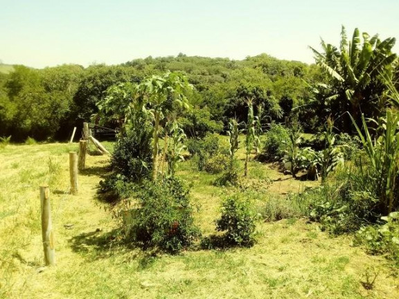 Imagem Imóvel com 2 Quartos à Venda, 99 m² em Fazenda Fialho - Taquara Imagem Imóvel com 2 Quartos à Venda, 99 m² em Fazenda Fialho - Taquara