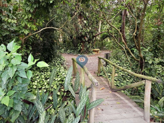 Imagem Terreno à Venda, 65 m² em Jardim Mediterrâneo - Cotia Imagem Terreno à Venda, 65 m² em Jardim Mediterrâneo - Cotia