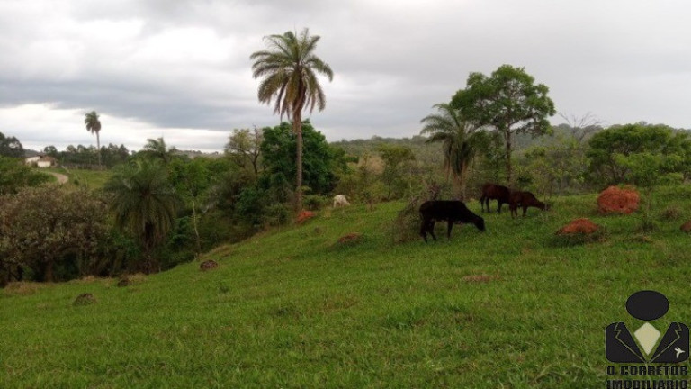 Imagem Imóvel à Venda, 20.000 m² em Mirantes Fazendas - Sete Lagoas Imagem Imóvel à Venda, 20.000 m² em Mirantes Fazendas - Sete Lagoas