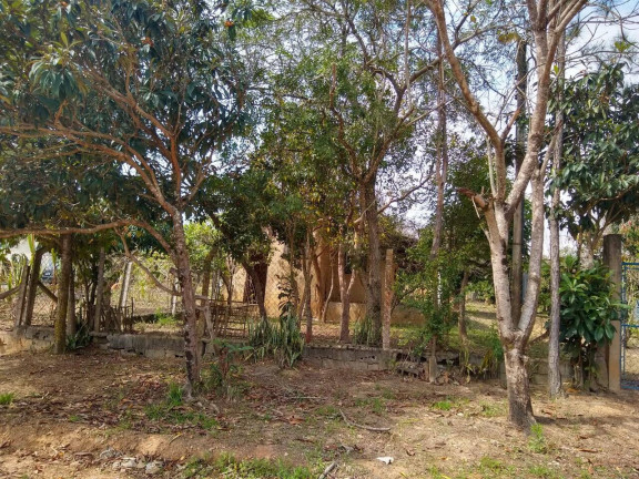 Imagem Chácara com 1 Quarto à Venda, 1.200 m² em Jardim Cananéia - Pilar Do Sul Imagem Chácara com 1 Quarto à Venda, 1.200 m² em Jardim Cananéia - Pilar Do Sul