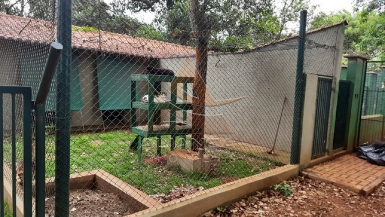Imagem Imóvel com 1 Quarto à Venda, 5.000 m² em Itanhangá  - Ribeirão Preto