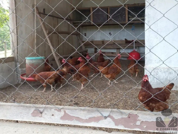 Imagem Imóvel com 3 Quartos à Venda, 33.900 m² em Almeida - Jaboticatubas