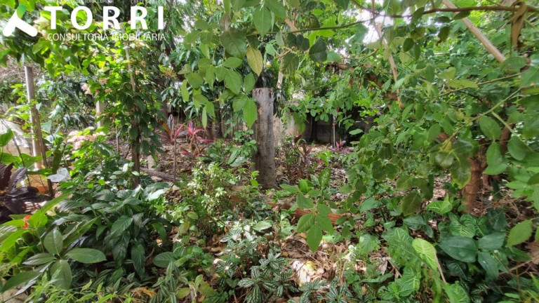 Imagem Terreno à Venda, 204 m² em Vila Progresso - Sorocaba