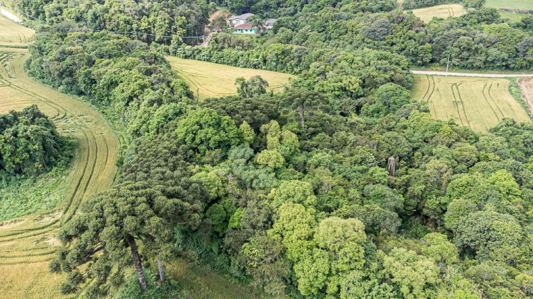 Imagem Terreno à Venda, 145.200 m² em Vila Dom Pedro Ii - Campo Largo