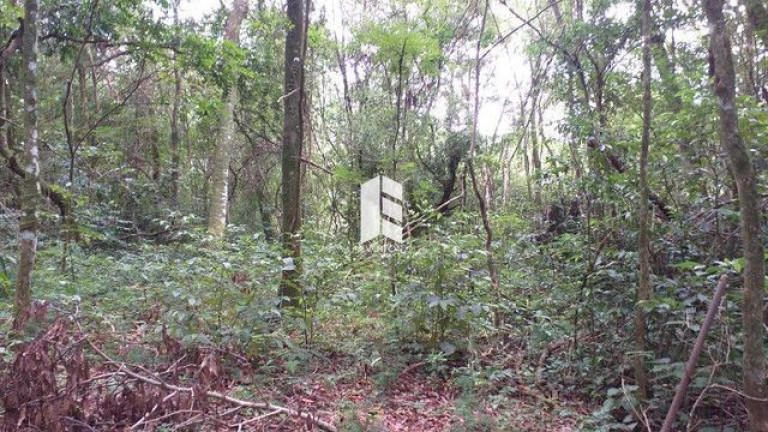 Imagem Imóvel à Venda, 28.000 m² em Campestre Do Menino Deus - Santa Maria Imagem Imóvel à Venda, 28.000 m² em Campestre Do Menino Deus - Santa Maria