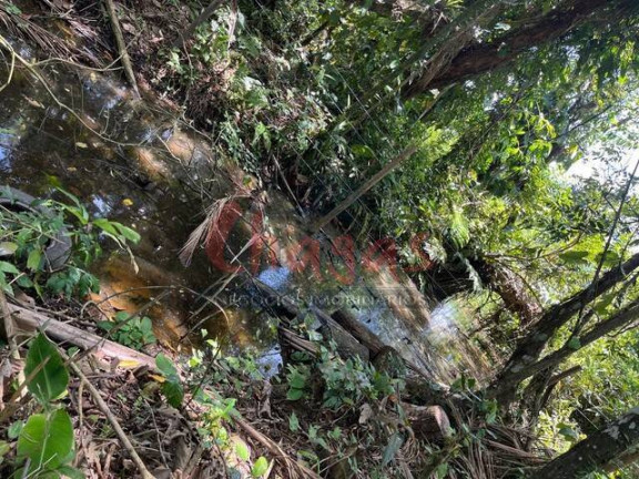Imagem Terreno à Venda, 3.696 m² em Barranco Alto - Caraguatatuba