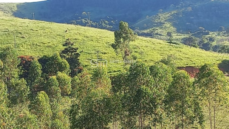 Imagem Imóvel com 2 Quartos à Venda, 266.000 m² em Branco - Lavrinhas