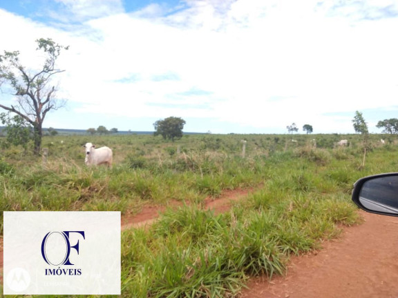 Imagem Fazenda à Venda, 3.097 m² em Rural - Chapadão Do Sul Imagem Fazenda à Venda, 3.097 m² em Rural - Chapadão Do Sul