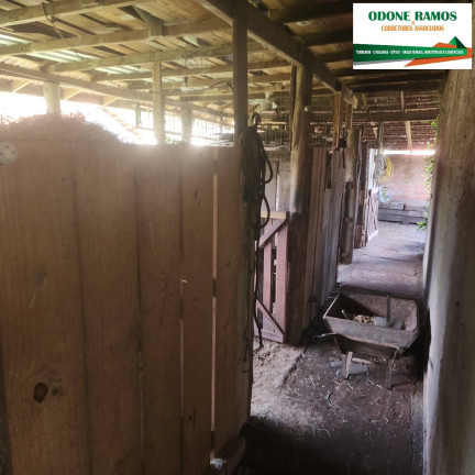 Imagem Casa com 2 Quartos à Venda, 1.500 m² em Berto Cirio - Nova Santa Rita Imagem Casa com 2 Quartos à Venda, 1.500 m² em Berto Cirio - Nova Santa Rita
