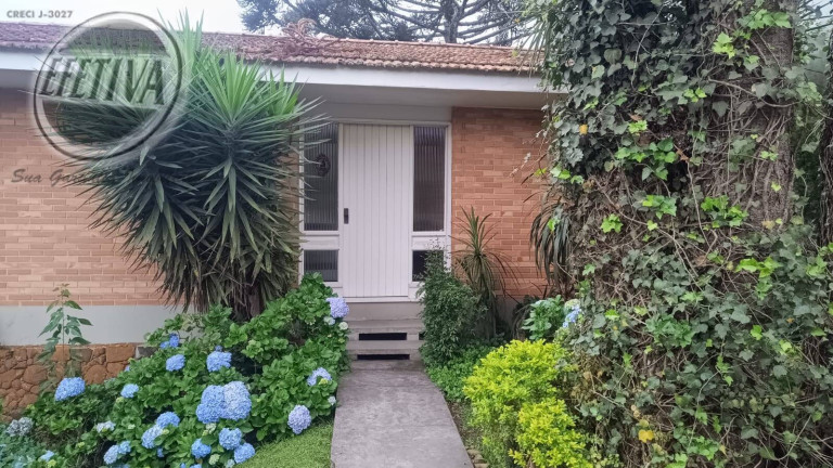 Imagem Casa com 3 Quartos à Venda, 309 m² em Jardim Social - Curitiba
