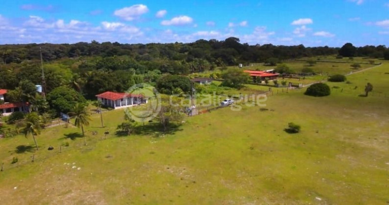 Imagem Fazenda à Venda, 200.000 m² em Pium - Nísia Floresta Imagem Fazenda à Venda, 200.000 m² em Pium - Nísia Floresta