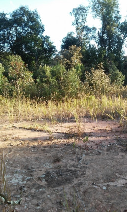 Imagem Terreno à Venda, 34 m² em Terra Preta - Mairiporã Imagem Terreno à Venda, 34 m² em Terra Preta - Mairiporã