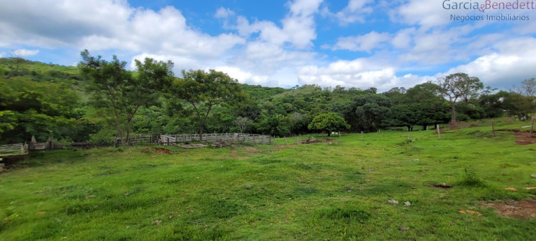 Imagem Imóvel à Venda, 290.400 m² em Amizade - Jandaia Do Sul Imagem Imóvel à Venda, 290.400 m² em Amizade - Jandaia Do Sul