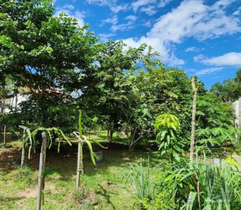 Terreno em Condomínio à Venda, 800 m² em Ponta Negra - Manaus