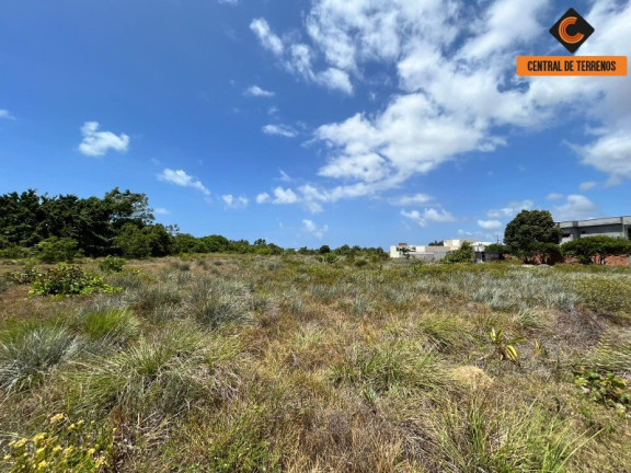 Imagem Terreno à Venda, 2.500 m² em Jacuipe Country - Camaçari Imagem Terreno à Venda, 2.500 m² em Jacuipe Country - Camaçari