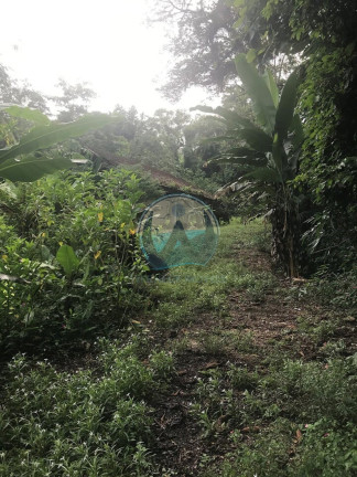 Imagem Terreno à Venda, 200 m² em Horto Figueira - Ubatuba Imagem Terreno à Venda, 200 m² em Horto Figueira - Ubatuba