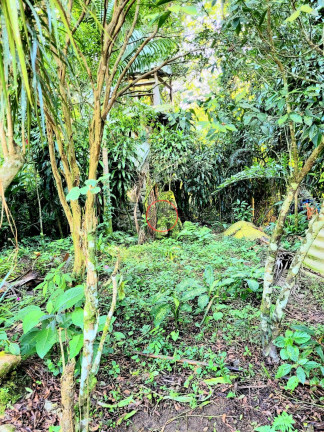 Imagem Casa com 2 Quartos à Venda, 162 m² em Boiçucanga - São Sebastião