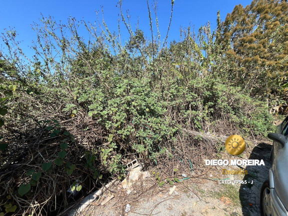 Imagem Terreno à Venda, 1.532 m² em Terra Preta - Mairiporã