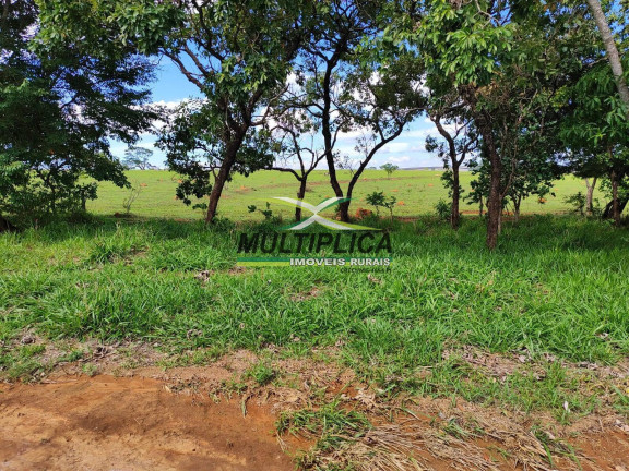Fazenda à Venda, 252 m² em Paracatu