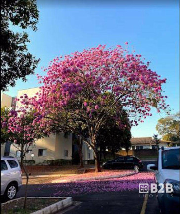 Imagem Apartamento com 3 Quartos à Venda, 67 m² em Condomínio Residencial Vila Inglesa - Bauru Imagem Apartamento com 3 Quartos à Venda, 67 m² em Condomínio Residencial Vila Inglesa - Bauru