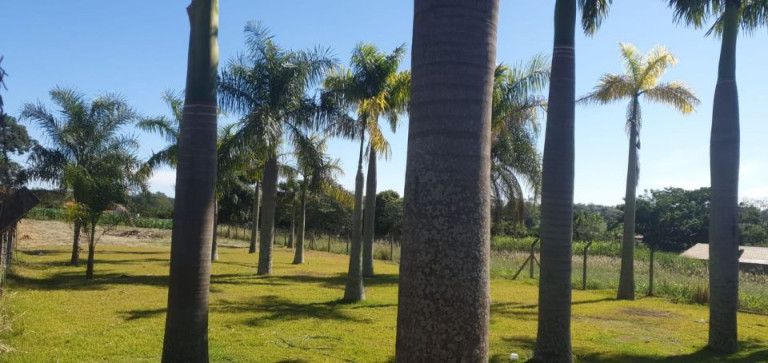 Imagem Imóvel à Venda, 2.300 m² em Gleba Fazenda Palhano - Londrina Imagem Imóvel à Venda, 2.300 m² em Gleba Fazenda Palhano - Londrina