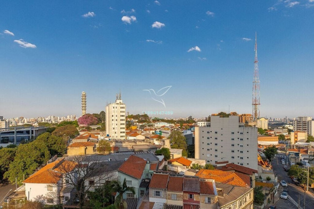 Imagem Apartamento com 2 Quartos à Venda, 108 m² em Alto Da Lapa - São Paulo