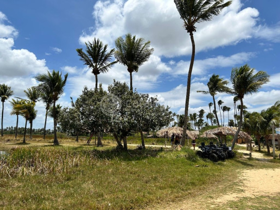 Imagem Terreno à Venda, 2.400 m² em Praia Da Xepa - São Miguel Do Gostoso Imagem Terreno à Venda, 2.400 m² em Praia Da Xepa - São Miguel Do Gostoso
