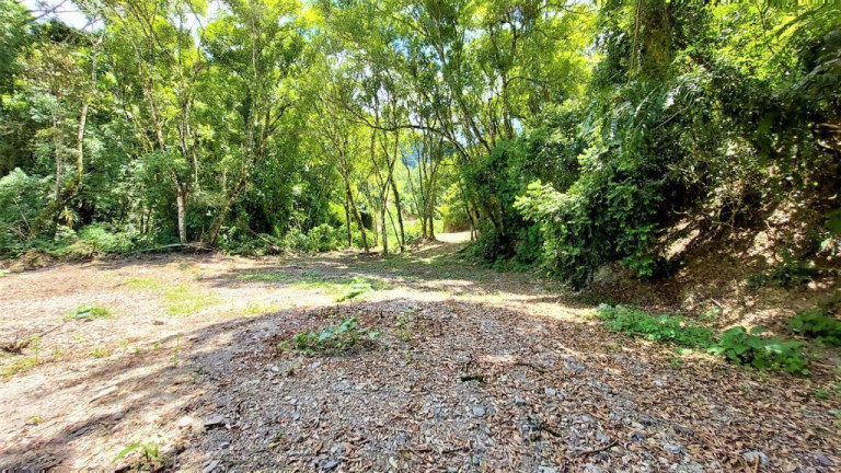 Imóvel à Venda, 10.000 m² em Zona Rural - Agrolândia