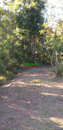 Imagem Chácara à Venda, 4 m² em São Francisco Xavier - São José Dos Campos Imagem Chácara à Venda, 4 m² em São Francisco Xavier - São José Dos Campos