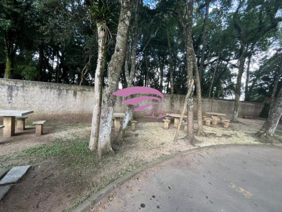 Imagem Imóvel com 2 Quartos à Venda, 46 m² em Ouro Fino - São José Dos Pinhais Imagem Imóvel com 2 Quartos à Venda, 46 m² em Ouro Fino - São José Dos Pinhais