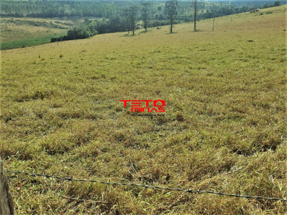 Imagem Imóvel à Venda, 360 m² em Zona Rural - Poços De Caldas Imagem Imóvel à Venda, 360 m² em Zona Rural - Poços De Caldas