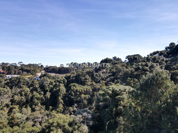 Imagem Terreno à Venda, 4.300 m² em Região Do Alto Da Boa Vista - Campos Do Jordão Imagem Terreno à Venda, 4.300 m² em Região Do Alto Da Boa Vista - Campos Do Jordão