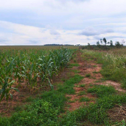 Fazenda à Venda,  em Dom Aquino