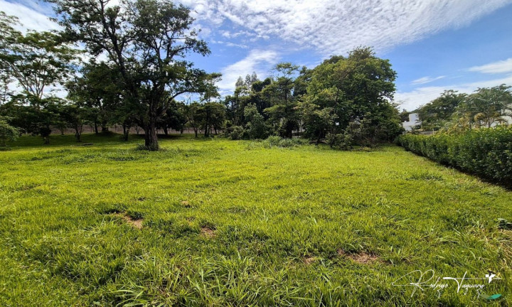 Terreno à Venda, 2.493 m² em Residencial Aldeia Do Vale - Goiânia