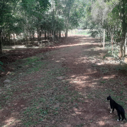 Imagem Imóvel à Venda, 50.000 m² em Centro - Lagoa Dos Três Cantos Imagem Imóvel à Venda, 50.000 m² em Centro - Lagoa Dos Três Cantos