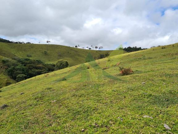 Imagem Chácara com 3 Quartos à Venda, 508.200 m² em Piracaia - Piracaia Imagem Chácara com 3 Quartos à Venda, 508.200 m² em Piracaia - Piracaia