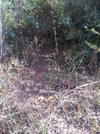 Imagem Imóvel à Venda,  em Aruanã - Aruanã