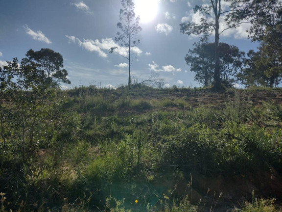 Imagem Terreno à Venda, 20.000 m² em Alto Perequê - Arroio Do Padre Imagem Terreno à Venda, 20.000 m² em Alto Perequê - Arroio Do Padre
