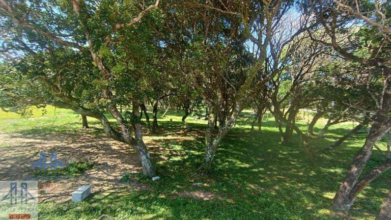 Imagem Terreno à Venda, 600 m² em São João Do Rio Vermelho - Florianópolis Imagem Terreno à Venda, 600 m² em São João Do Rio Vermelho - Florianópolis