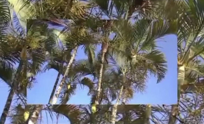 Imagem Terreno em Condomínio à Venda, 1 m² em Aldeia Dos Camarás - Camaragibe Imagem Terreno em Condomínio à Venda, 1 m² em Aldeia Dos Camarás - Camaragibe