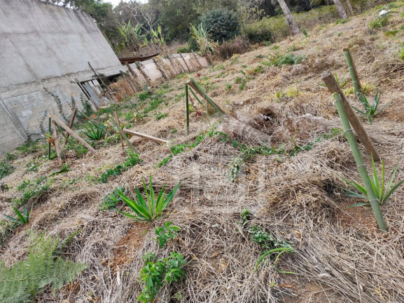Imagem Imóvel à Venda, 410 m² em Morada Das Flores - Poços De Caldas