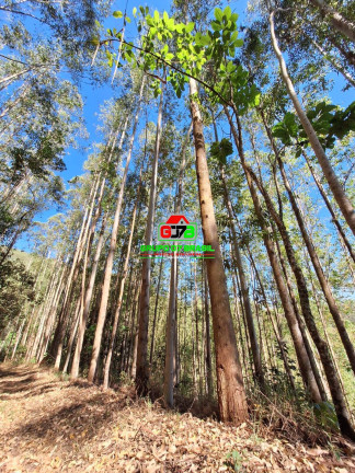 Imagem Chácara à Venda, 8 m² em São Francisco Xavier - São José Dos Campos Imagem Chácara à Venda, 8 m² em São Francisco Xavier - São José Dos Campos