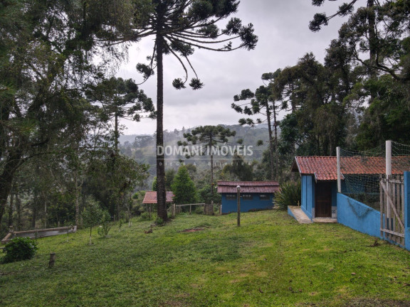 Imagem Imóvel com 3 Quartos à Venda, 531 m² em Região Da Campista - Campos Do Jordão Imagem Imóvel com 3 Quartos à Venda, 531 m² em Região Da Campista - Campos Do Jordão
