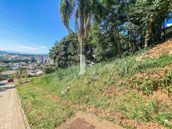 Imagem Terreno à Venda, 700 m² em Córrego Grande - Florianópolis Imagem Terreno à Venda, 700 m² em Córrego Grande - Florianópolis