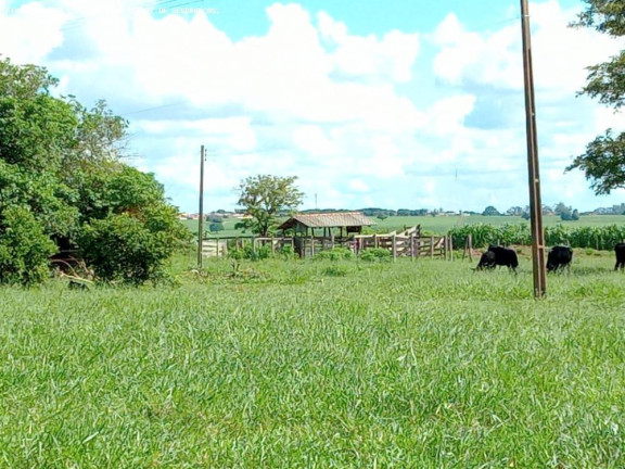Imagem Chácara com 4 Quartos à Venda, 70.180 m² em Zona Rural - Flórida Imagem Chácara com 4 Quartos à Venda, 70.180 m² em Zona Rural - Flórida