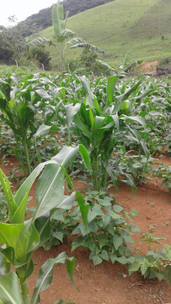 Imagem Terreno à Venda, 1.900 m² em Taubaté