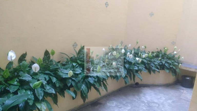 Imagem Apartamento com 2 Quartos para Alugar, 70 m² em Bela Vista - São Paulo Imagem Apartamento com 2 Quartos para Alugar, 70 m² em Bela Vista - São Paulo
